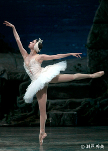 nina_swan.jpg