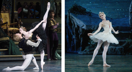 swanlake_murphy.jpg